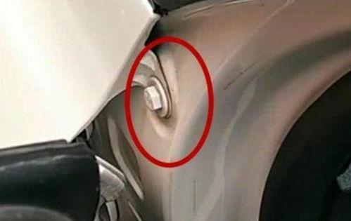 国产在线观看国产,在线畅享国产生态魅力  第3张