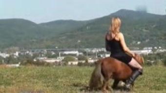 国产美女骑小马,国产美女与萌宠小马的甜蜜邂逅 第2张 国产美女骑小马,国产美女与萌宠小马的甜蜜邂逅 第2张