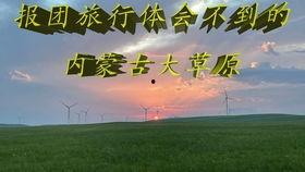 国产美女骑小马,国产美女与萌宠小马的甜蜜邂逅 第3张 国产美女骑小马,国产美女与萌宠小马的甜蜜邂逅 第3张