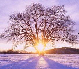 1024国产基地在线,探索中国科技产业的创新与发展  第3张