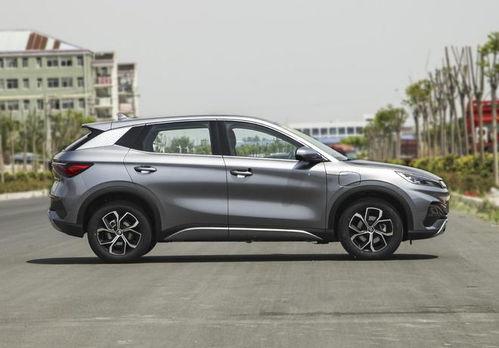 国产五月,绽放的青春与梦想  第1张