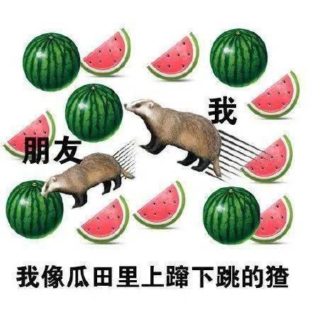 伙伴娱乐吃瓜,揭秘娱乐圈的“吃瓜”风云